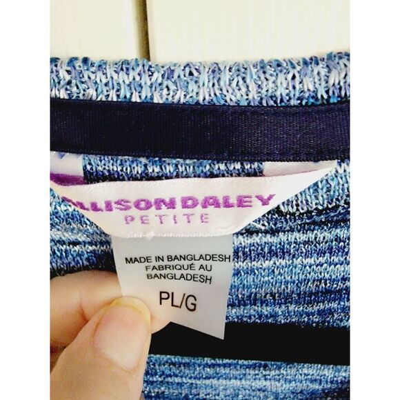 Allison Daley L Striped Sweater LARGE Blue White Fringe 3/4 Sleeve Tunic - Picture 5 of 5